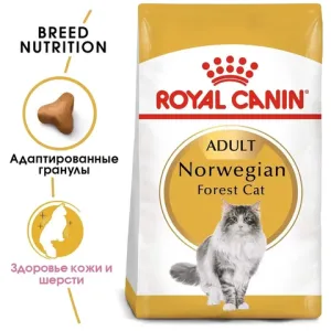 Корм для кошек породы норвежская лесная, Royal Canin Norwegian Forest Cat, в возрасте от 1 года и старше