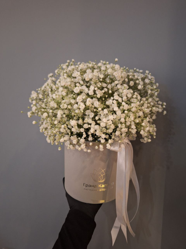 Композиция из белой гипсофилы Композиция из белой гипсофилы