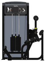 Разгибание спины Impulse IF9332