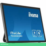 Портативный монитор Iiyama ProLite T2455MSC-B1