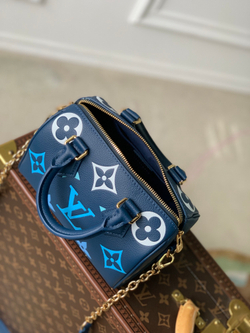 Louis Vuitton Speedy 20