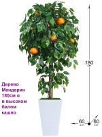Искусственное дерево Мандарин 180см в высоком белом кашпо ротанг