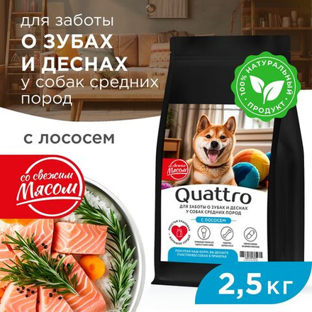 Корм сухой для взрослых собак средних пород, премиум полнорационный комплекс, забота о зубах и деснах, с лососем, 2,5 кг, QUATTRO