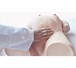 Тренажер для отработки навыков приема Леопольда