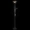Торшер Arte Lamp Duetto A4329PN-2CC