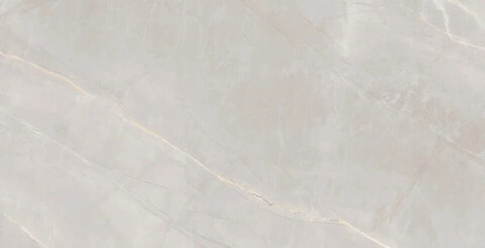 ARTCER Marble Royalish Grey 60x120