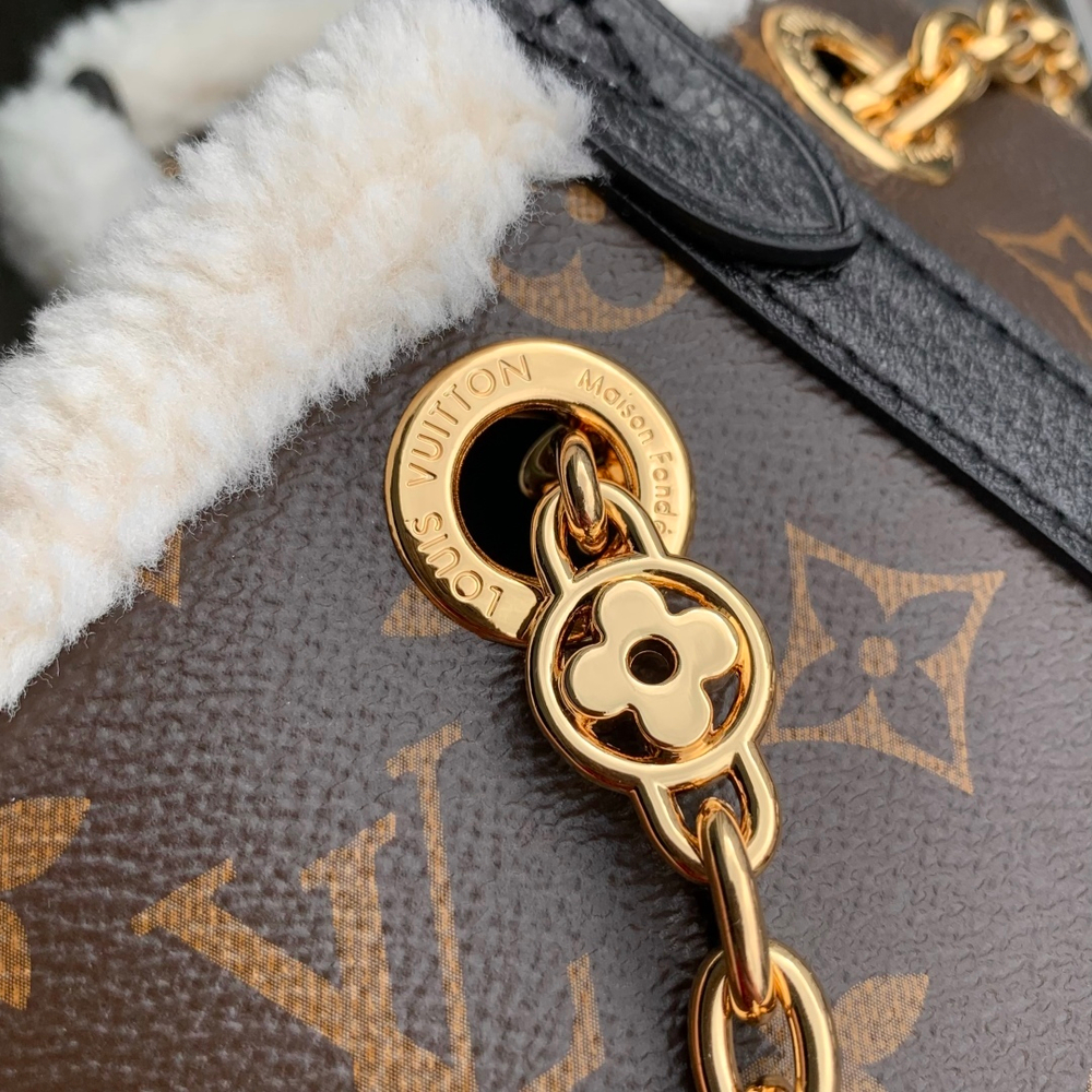Louis Vuitton CarryAll BB