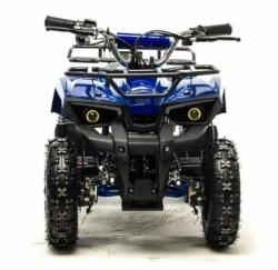 Электроквадроцикл Motoland ATV E008 800Вт