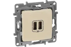 Розетка USB Legrand Etika двойная 2400мА слоновая кость 30195