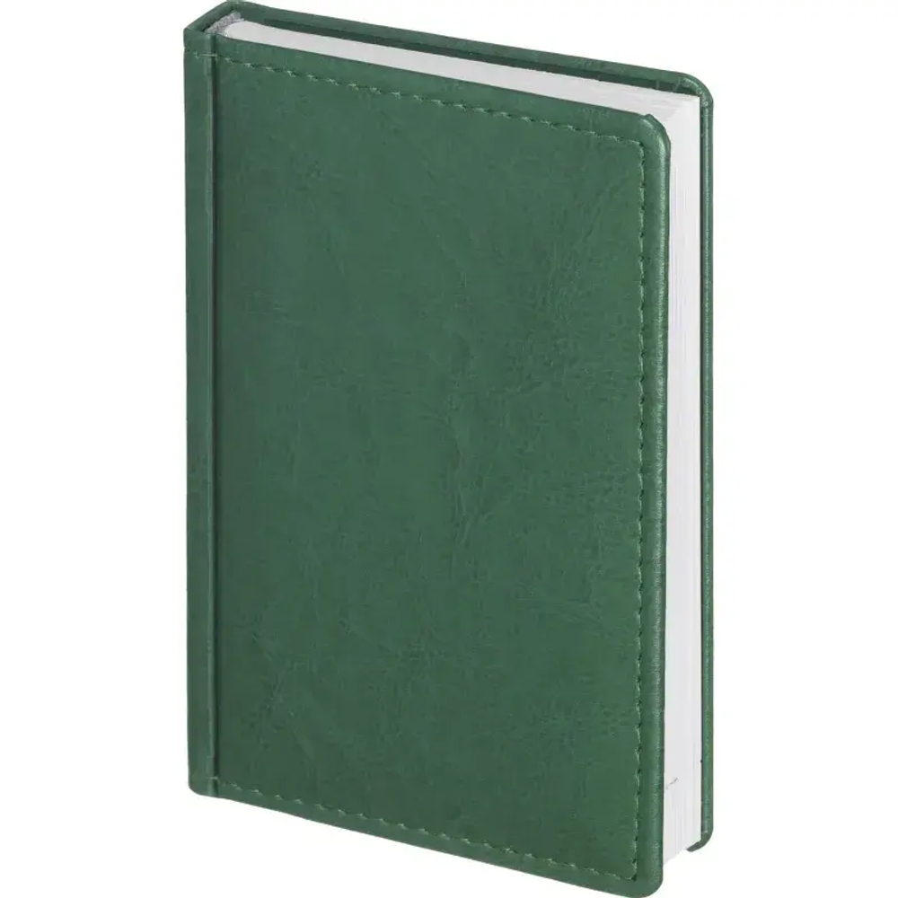 Ежедневник датированный 2026, зеленый,А6, 100х150 мм,336 стр,Agenda