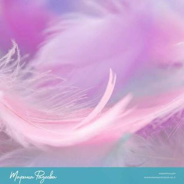 242 аффирмации красоты (электронная книга)