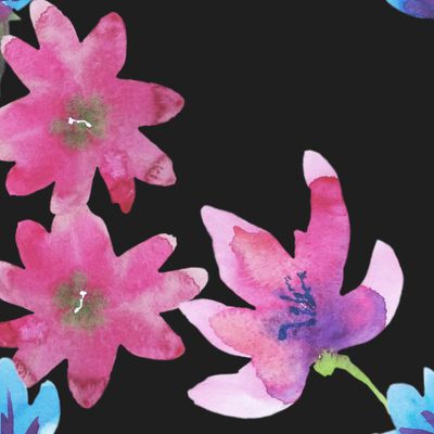 Крупные розовые и голубые цветы на чёрном фоне