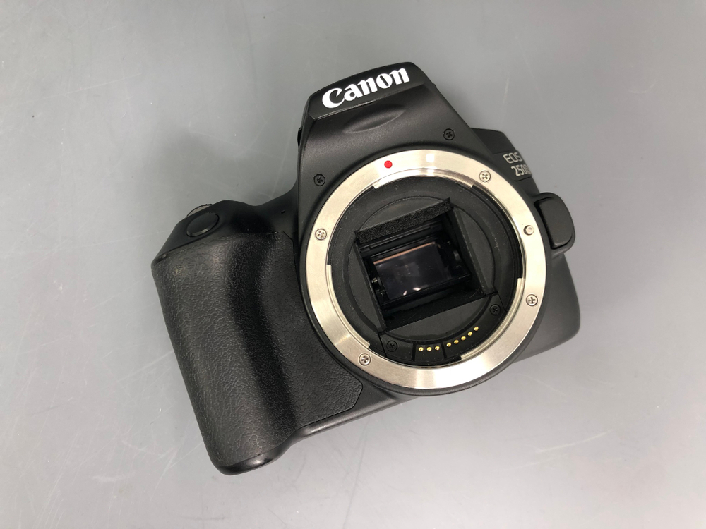 Canon 250D + 18-55mm 4-5.6 IS STM
