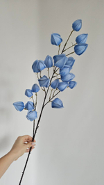 Физалис / Арт 2367