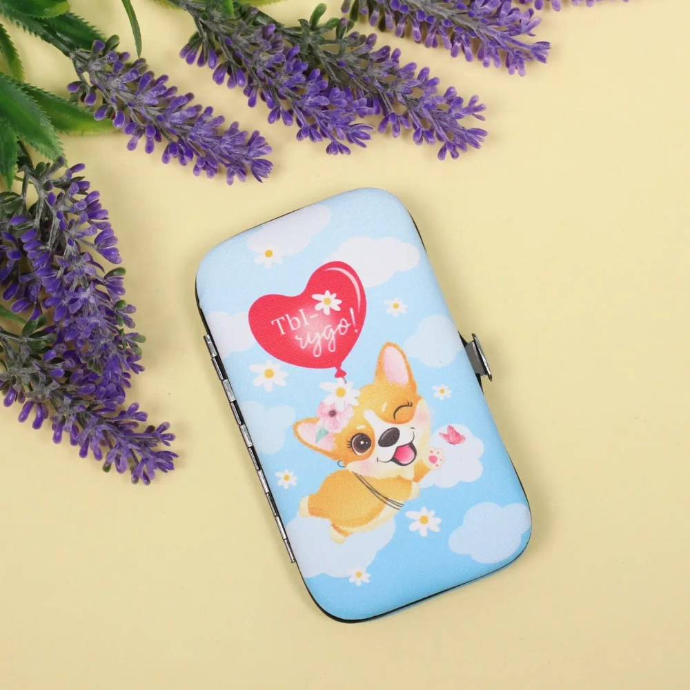 Набор для маникюра в футляре 6 предметов «ТЫ - Чудо!»,11*6,5см