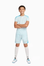 Шорты Nike Dri-FIT Strike 24 - голубой