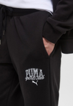 Брюки спортивные мужские PUMA CLASS Sweatpants TR cl