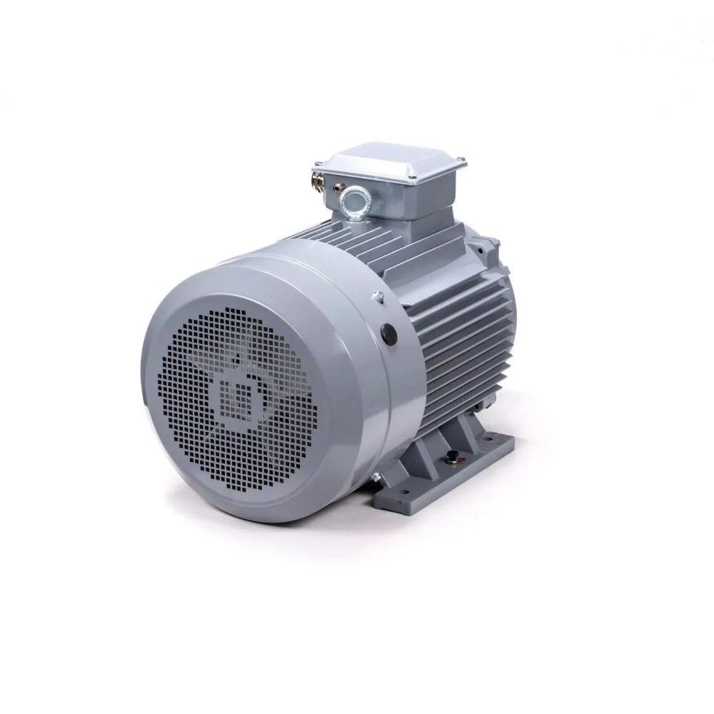 Электродвигатель ESQ PR 355 S4 GST-Б1-S32-IE2 250/1500 IM1001