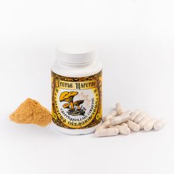 Фотка капсул гриба лисички-adonnis.ru