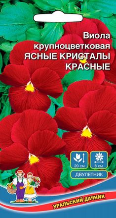 Виола