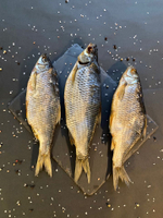 Плотва вяленая, слабосоленая, Ладожское озеро, собственное производство, 1000 грамм