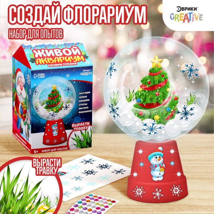 Набор для опытов «Новогодний флорариум» - купить оптом в Москве