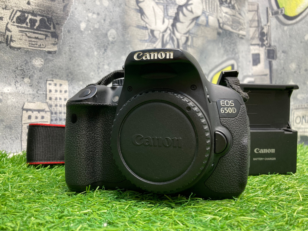 Canon 650D 49.800 кадров