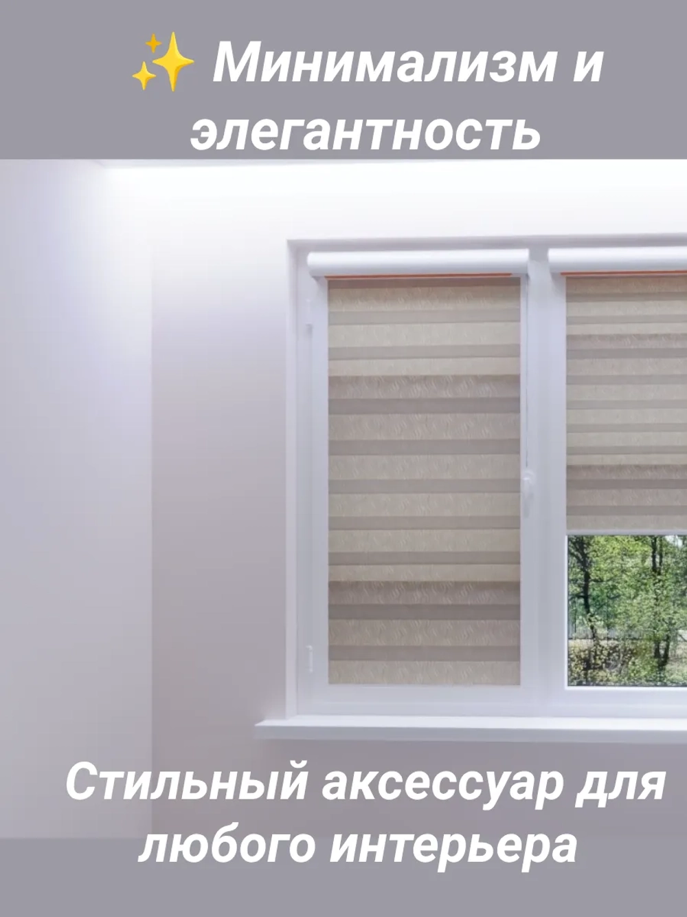 Рулонные шторы День-Ночь Зебра 50х150 см