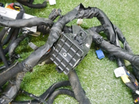 DSCN7165.jpg