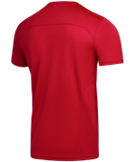 Футболка тренировочная DIVISION Training Tee, красный