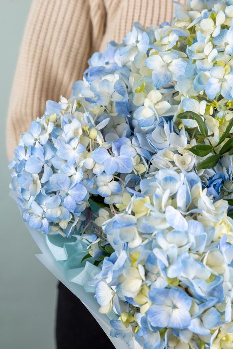 Букет "Шарм гортензии"