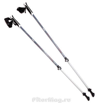 Палки BTrace NW Fast [P0529]