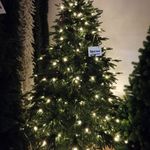 Елка с гирляндой встроенной «Престиж» (Литая хвоя) от 1,2 м до 3 м