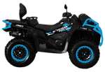 Квадроцикл BRC X-TERRA CT ATV 1000 Черный/синий (ПСМ)