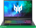 Ноутбук Acer Predator Helios 300 PH317-55-5306 NH.QB6EX.00N