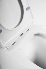 Унитаз BelBagno Flay-R BB1003CBR/BB870SC приставной с сиденьем Микролифт