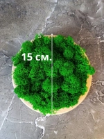 Панно из мха набор набор 3 шт.