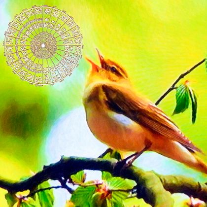 Практический Интенсив: "Магические Часы Птиц"