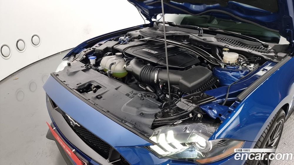 Ford Mustang GT Convertible (08.2022)