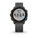 Часы для бега Garmin Forerunner 245, серый, 010-02120-10