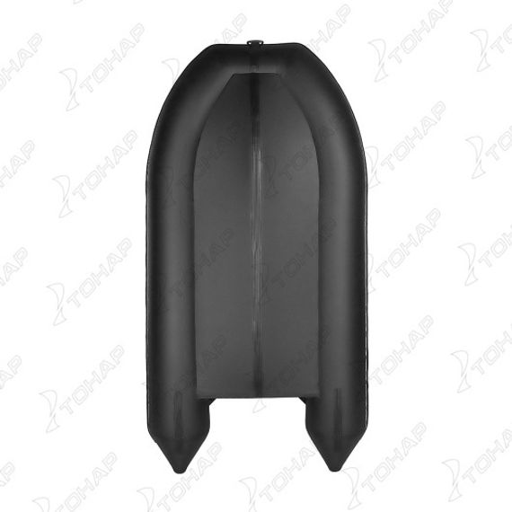 Лодка Тонар Алтай 320L принт Рыбы