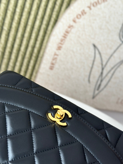 Chanel Bag 22 cm