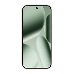 Смартфон Google Pixel 10 Pro 512GB (Мятный/Jade)