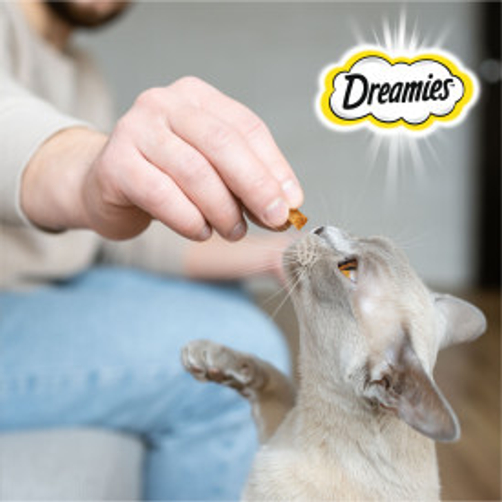 Лакомство с Индейкой для кошек Dreamies, 60г