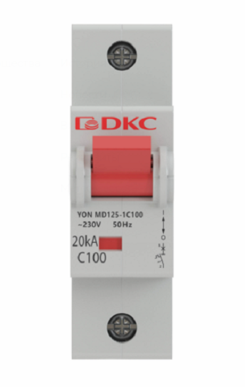 Автоматический выключатель модульный DKC MD125-1C100