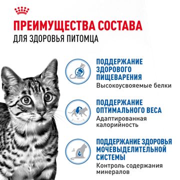 Royal Canin Indoor Sterilised влажный корм в соусе для домашних кошек старше 1 года