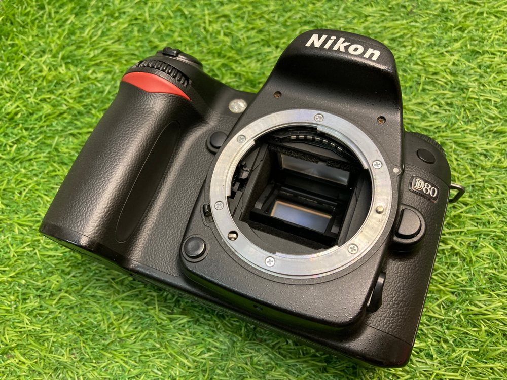 Nikon D80