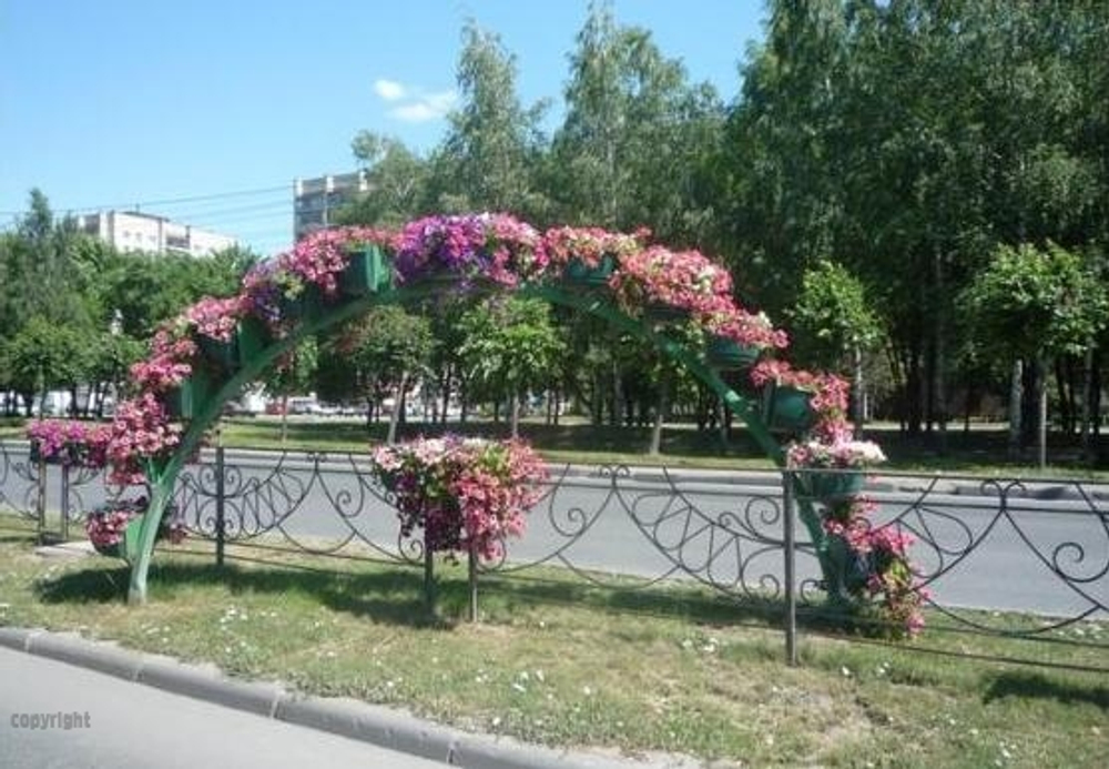 Арка Сказка