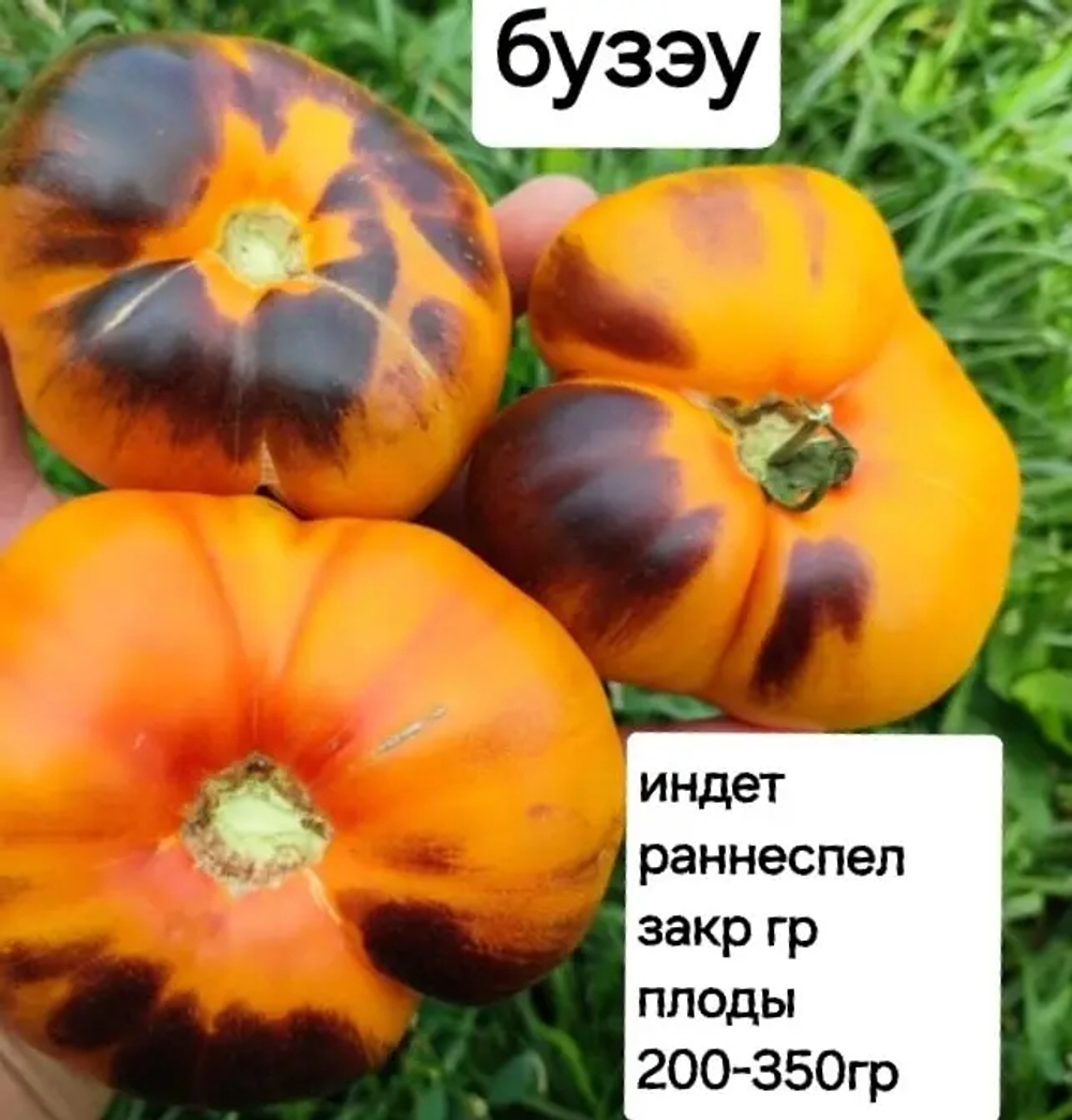 БУЗЭУ