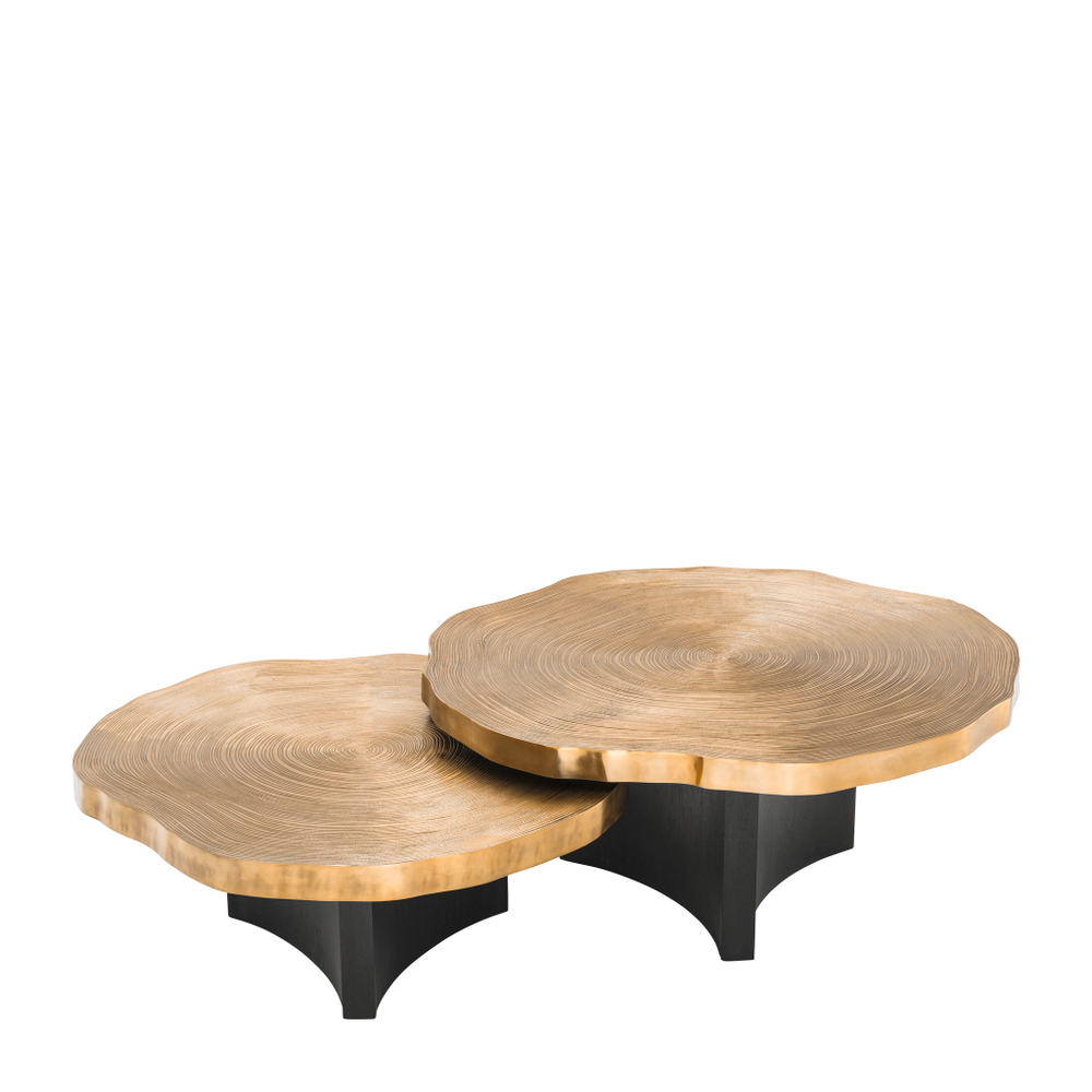Журнальный столик Coffee Table Thousand Oaks set of 2 арт.113295